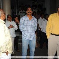 Sri Rama Rajyam Special Premiere Show - Pictures | Picture 126555